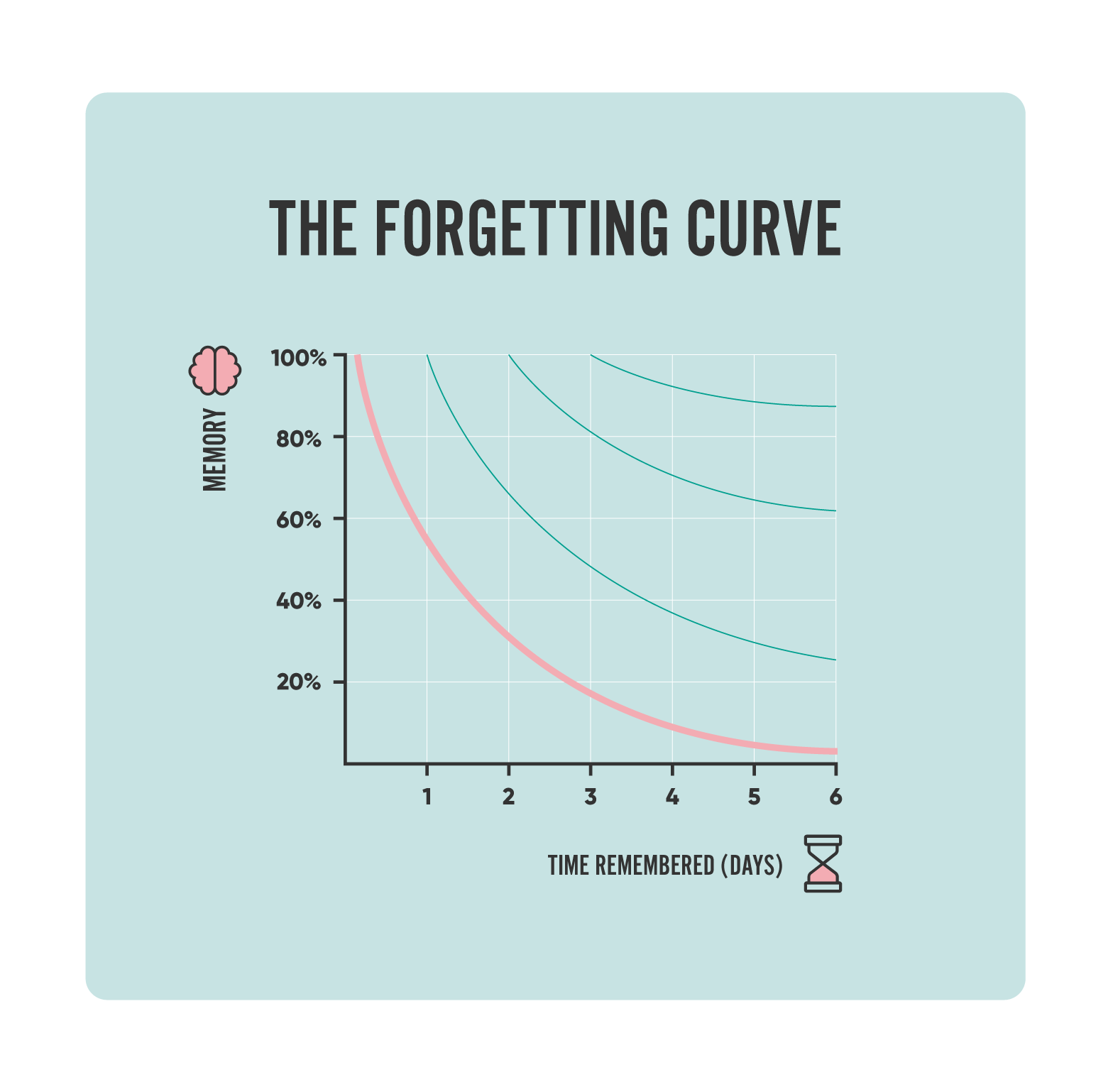 Ebbinghaus' forgetting curve and review cycle.